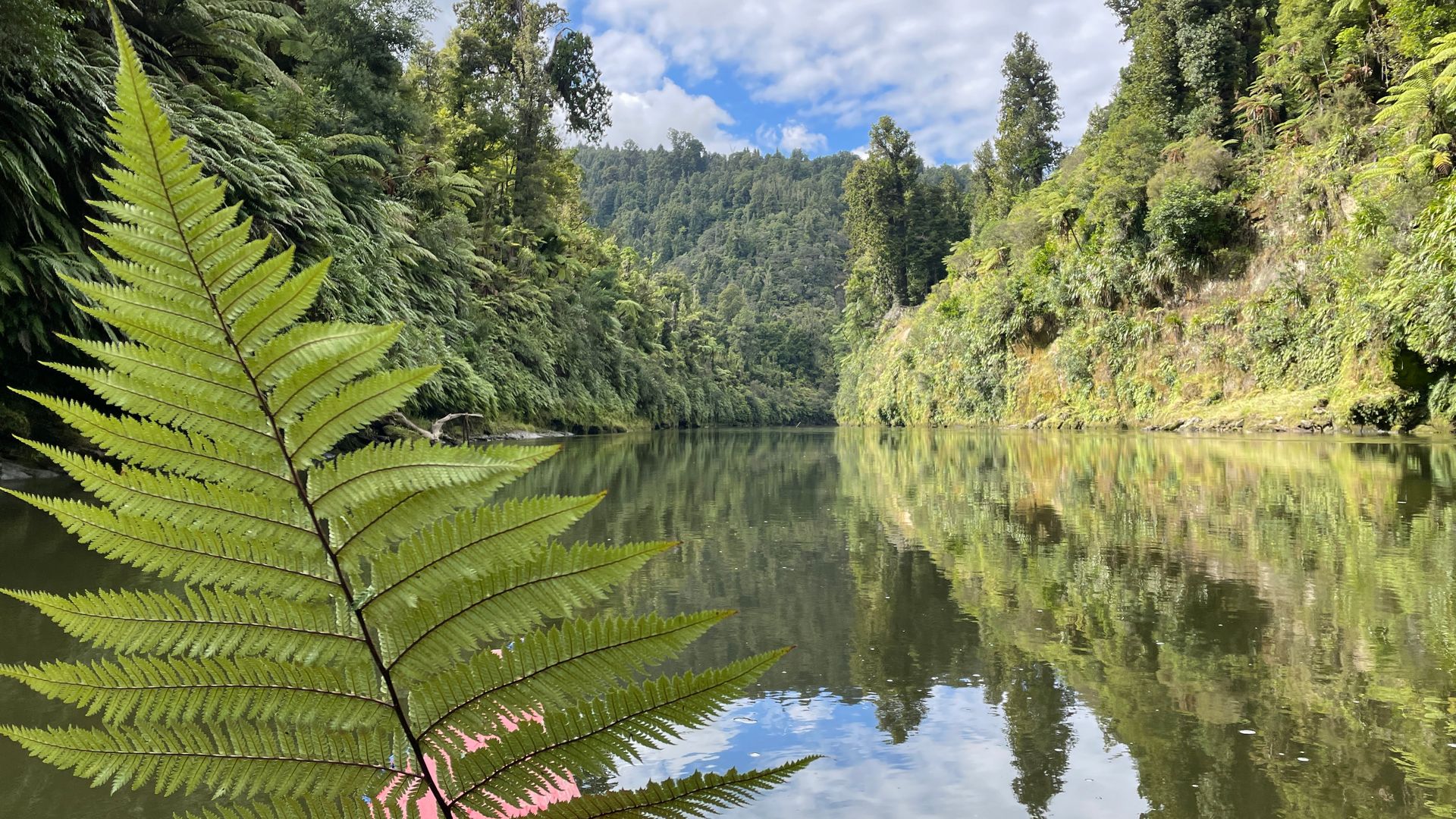 Canoeing the Whanganui River - Visit Ruapehu.jpg